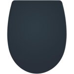 Abattant wc marbella en thermoplastique, déclipsable et frein de chute wirquin 20724245, gris anthracite ... Abattant wc marbella en thermoplastique, déclipsable et frein de chute wirquin 20724245, gris anthracite ...