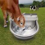 Abreuvoir chevaux en acier inoxydable avec vanne  flotteur en laiton rglable de 1 / 2' et trous de ...