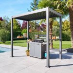 Abri � barbecue grily gris graphite acier et aluminium - hesp�ride