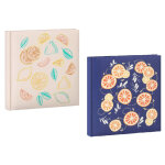 Ac - deco - lot de 2 albums photos � pochettes 11. 5 x 15 cm 'agrumes' - 2 x 200 photos soit 400 photos ...