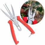 Acier inoxydable forge pommier poirier ciseaux double bouche ciseaux jardinage coupe ciseaux �lagage ...