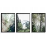 Affiches 30x40 pour le bureau salon tableaux dans un cadre noir pour le mur arbres for�t