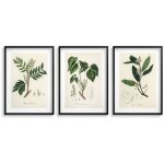 Affiches de cuisine, photos dans un cadre noir, herbes, dcoration vintage