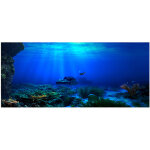 Affiche de fond adh�sive seaworld pour d�coration d'aquarium 122 x 50 cm