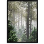 Affiche murale pour la chambre � coucher, le salon, tableau mural dans un cadre 50x70, arbres de la for�t ...