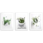 Affiches murales de cuisine herbes brindilles dcoration de cuisine 3x 30x40