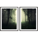 Affiches photos encadr�es 53x73cm diptyque lot de 2 tableaux for�t sombre p2087