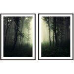 Affiches photos encadres 53x73cm diptyque lot de 2 tableaux fort sombre p2087