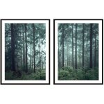 Affiches photos encadres 53x73cm diptyque lot de 2 tableaux fort sombre p2088