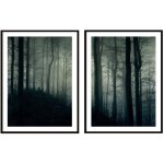 Affiches photos encadres 53x73cm diptyque lot de 2 tableaux fort sombre p2089