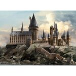 Ag art - papier peint harry potter : le ch�teau de poudlard avec un effet 3d 252 x 182 cm