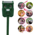 Ahlsen - d�tecteur de mouvement ultrasonique � �nergie solaire et r�pulsif pour animaux � lumi�re clignotante ...