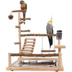 Aire de jeux pour oiseaux terrain de jeu pour perroquet avec support perchoirs gobelet d'alimentation ...