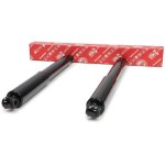 Amortisseurs arrire isuzu d - max i (tfr, tfs)