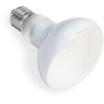 Ampoule chauffante terrarium 100w uva e27 r80 basking spot, ac 220v lampe chauffante reptile lumi�re ...