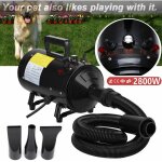 Dayplus - animal de compagnie schoir pour chiens avec 4 buses schoir pour chats schoir pour chiens ...