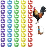 Anneaux de cuisse de poulet, 50 pièces bandes de cuisses d'identification, clip numéroté sur volailleanneaux ... Anneaux de cuisse de poulet, 50 pièces bandes de cuisses d'identification, clip numéroté sur volailleanneaux ...