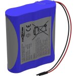 Ansmann 3s1p pack de piles rechargeables 3x 18650 avec c�ble li - ion 10. 8 v 2600 mah y132183