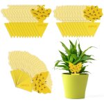 Anti moucherons plantes interieur, 60 pcs piges  insectes jaune mouche double face protection des plantes ...