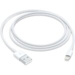 Apple cble lightning vers usb (1 m)