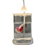 Aquarium de bureau cratif led en verre  conomie d'nergie aliment par usb micro paysage cologique ...