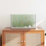 Aquarium avec stockage transparent 50 x 30 x 30 cm verre