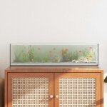 Aquarium avec stockage transparent 80 x 20 x 20 cm verre
