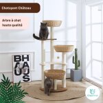 Chezchat - arbre à chat - chatoyant château Chezchat - arbre à chat - chatoyant château