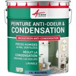 Arcane industries - peinture anti condensation, anti odeur, moisissure - 2. 5 l bleu pastel - ral 5024 ...