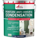 Arcane industries - peinture anti condensation, anti odeur, moisissure - 2. 5 l bleu saphir - ral 5003 ...