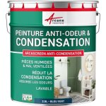 Arcane industries - peinture anti condensation, anti odeur, moisissure - 2. 5 l bleu vert - ral 5001