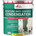 Arcane industries - peinture anti condensation, anti odeur, moisissure - 2. 5 l jaune soufre - ral 1016 ...