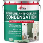 Arcane industries - peinture anti condensation, anti odeur, moisissure - 2. 5 l vert blanc - ral 6019 ...