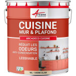 Arcane industries - peinture cuisine, lessivable, absorbe les odeurs - 10 l ivoire clair - ral 1015