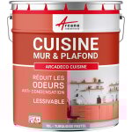 Arcane industries - peinture cuisine, lessivable, absorbe les odeurs - 10 l turquoise pastel - ral 6034 ... Arcane industries - peinture cuisine, lessivable, absorbe les odeurs - 10 l turquoise pastel - ral 6034 ...