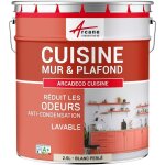 Arcane industries - peinture cuisine, lessivable, absorbe les odeurs - 2. 5 l blanc perl - ral 1013