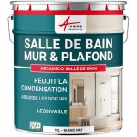 Arcane industries - peinture salle de bain, mur et plafond, condensation - 10 l blanc