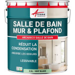 Arcane industries - peinture salle de bain, mur et plafond, condensation - 2. 5 l vert blanc - ral 6019 ...