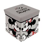 Cube de rangement avec couvercle - disney mickey & minnie amoureux - 30x30x30 cm