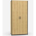 Idmarket - armoire 2 portes detroit penderie 80 cm avec �tag�res rangement maxi capacit�