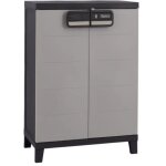 Armoire bioclimatique basse en r�sine antracite 680x390x850