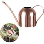 Arrosoir en acier inoxydable - petit arrosoir  long goulot pour la maison, l'intrieur et l'extrieur, ...