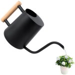 Arrosoir en acier inoxydable, petit mod�le, manche en bois, noir, nouveau vaporisateur m�tallique pour ...