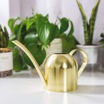 Arrosoir en acier inoxydable, petit pot d'arrosage � longue bouche pour maison, int�rieur, ext�rieur, ...