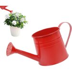 Arrosoir de jardin de 1 l avec long, seau d'arrangement floral, vase en métal, design durable, verseur ... Arrosoir de jardin de 1 l avec long, seau d'arrangement floral, vase en métal, design durable, verseur ...