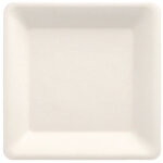 Assiettes en canne � sucre, � pure �, forme rectangulaire, 15, 5 cm x 15, 5 cm, couleur : blanc, 50 pi�ces ...