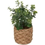 Eucalyptus artificiel en pot jaye h27cm atmosphera cr�ateur d'int�rieur