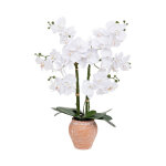 Orchidée artificielle en pot 'dena' 65cm blanc Orchidée artificielle en pot 'dena' 65cm blanc