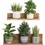 Autocollant mural 3d amovible en pvc bonsa� d�coration murale cr�ative plantes vertes florales arbre ...