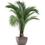 Autocollants muraux d'art en pot de plantes vertes de simulation, autocollant mural de plante verte 3d, ...